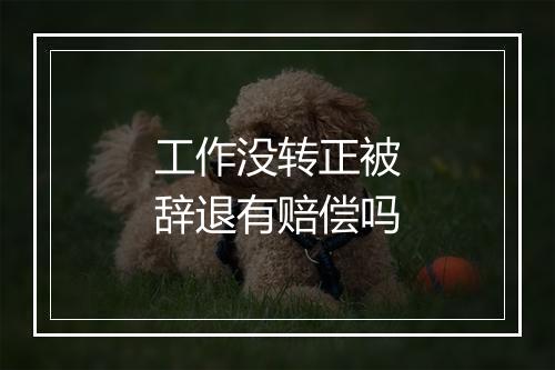 工作没转正被辞退有赔偿吗