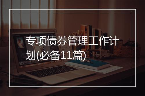 专项债券管理工作计划(必备11篇)