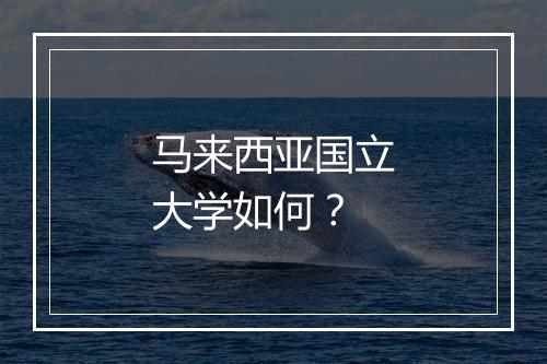 马来西亚国立大学如何？