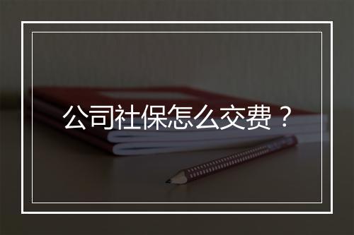 公司社保怎么交费？