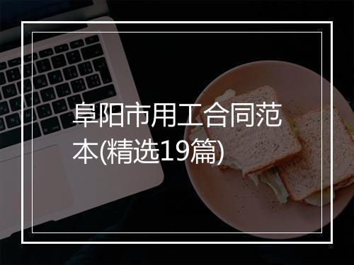 阜阳市用工合同范本(精选19篇)