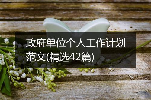 政府单位个人工作计划范文(精选42篇)