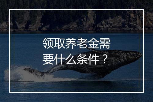 领取养老金需要什么条件？