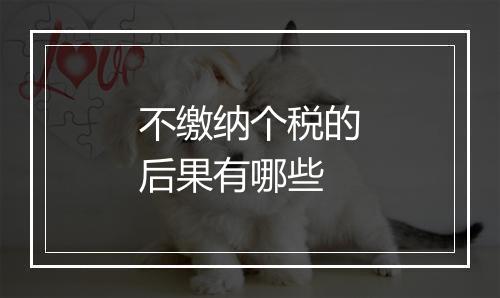 不缴纳个税的后果有哪些