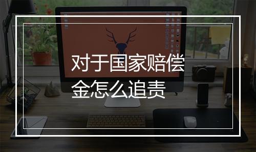 对于国家赔偿金怎么追责