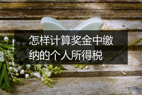 怎样计算奖金中缴纳的个人所得税