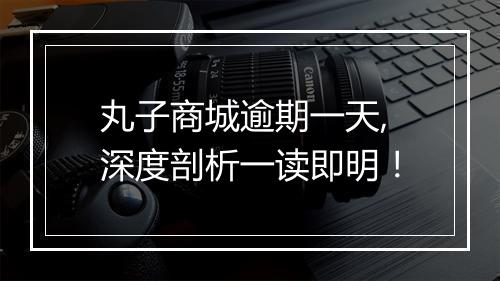 丸子商城逾期一天,深度剖析一读即明！