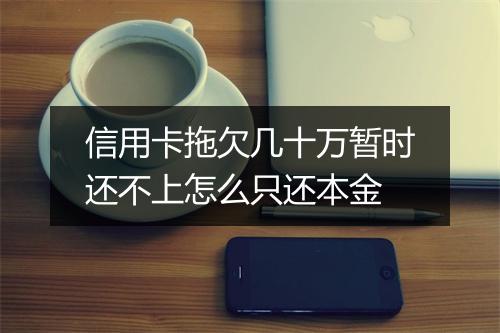 信用卡拖欠几十万暂时还不上怎么只还本金