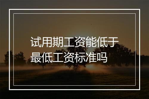 试用期工资能低于最低工资标准吗