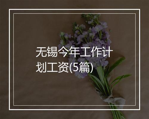 无锡今年工作计划工资(5篇)