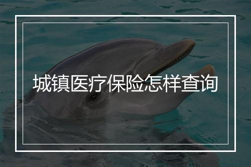 城镇医疗保险怎样查询