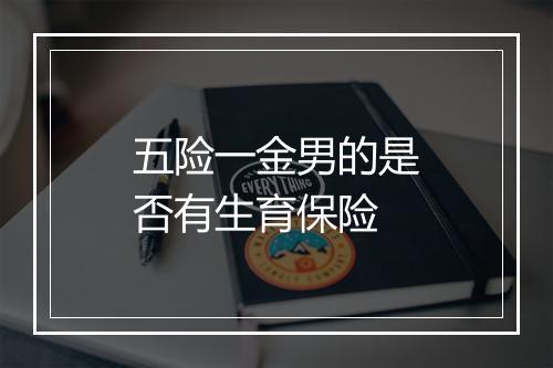 五险一金男的是否有生育保险