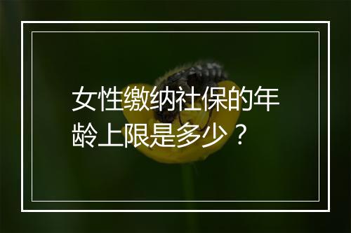 女性缴纳社保的年龄上限是多少？