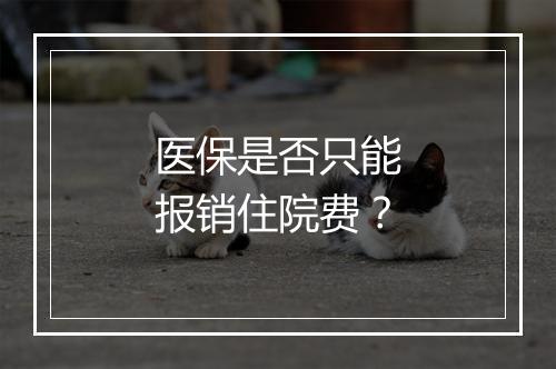 医保是否只能报销住院费？