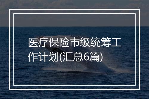 医疗保险市级统筹工作计划(汇总6篇)