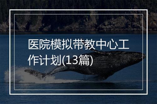 医院模拟带教中心工作计划(13篇)