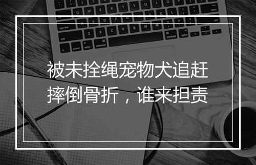 被未拴绳宠物犬追赶摔倒骨折，谁来担责
