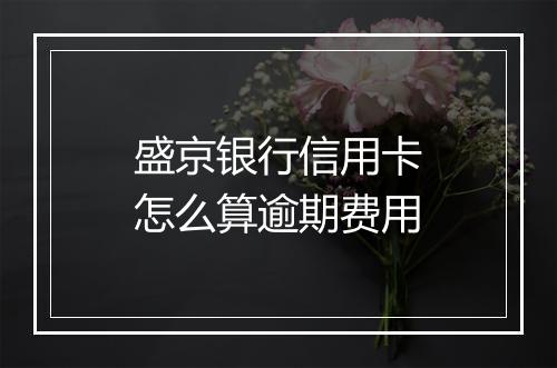盛京银行信用卡怎么算逾期费用