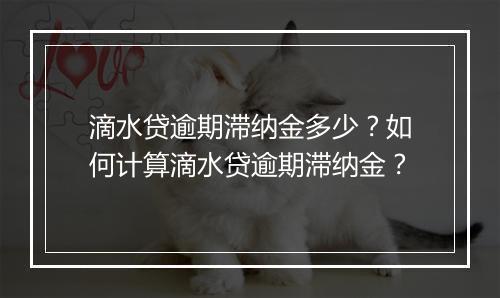 滴水贷逾期滞纳金多少？如何计算滴水贷逾期滞纳金？