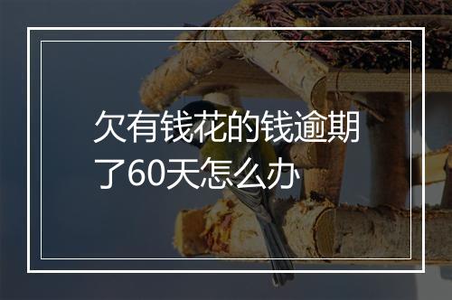 欠有钱花的钱逾期了60天怎么办