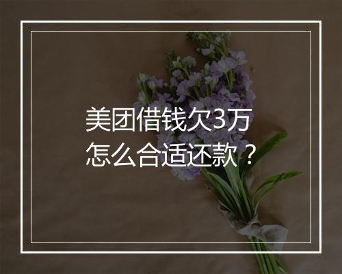 美团借钱欠3万怎么合适还款？