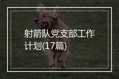 射箭队党支部工作计划(17篇)