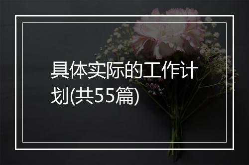 具体实际的工作计划(共55篇)