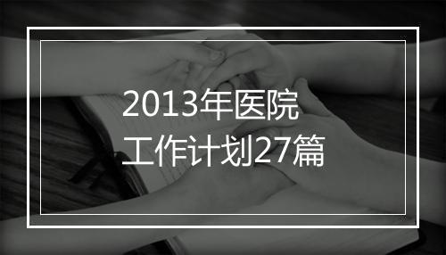 2013年医院工作计划27篇