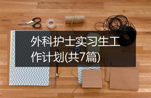 外科护士实习生工作计划(共7篇)