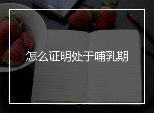 怎么证明处于哺乳期