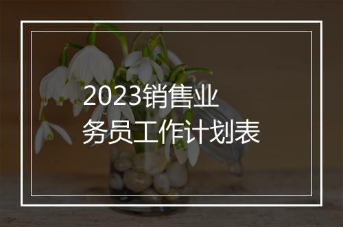 2023销售业务员工作计划表