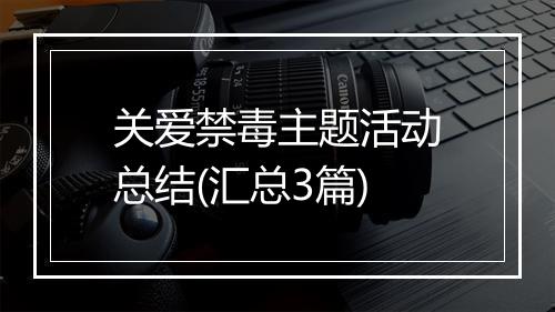 关爱禁毒主题活动总结(汇总3篇)