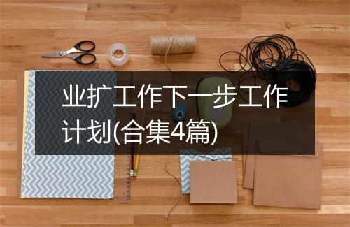 业扩工作下一步工作计划(合集4篇)