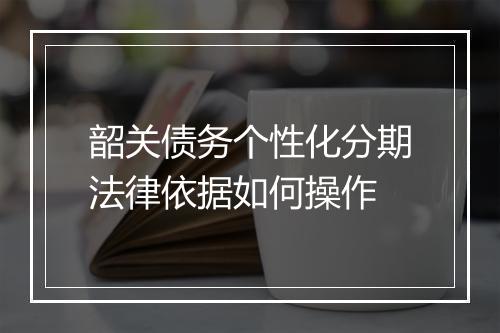 韶关债务个性化分期法律依据如何操作