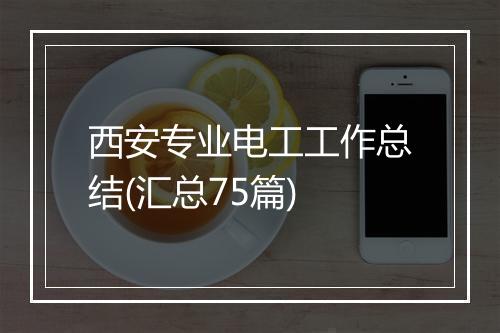 西安专业电工工作总结(汇总75篇)