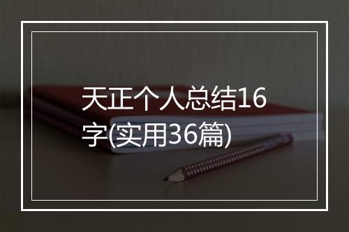 天正个人总结16字(实用36篇)