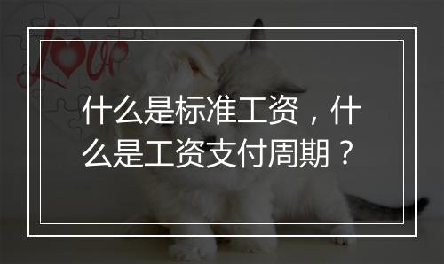 什么是标准工资，什么是工资支付周期？
