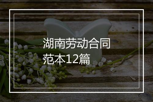 湖南劳动合同范本12篇