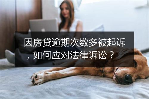 因房贷逾期次数多被起诉，如何应对法律诉讼？