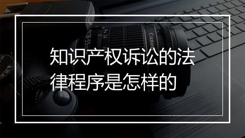 知识产权诉讼的法律程序是怎样的