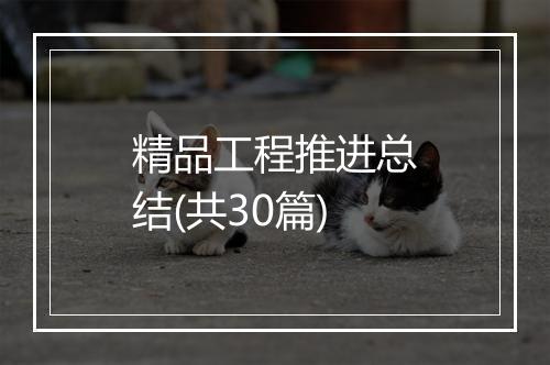 精品工程推进总结(共30篇)