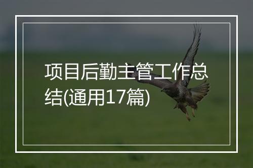 项目后勤主管工作总结(通用17篇)