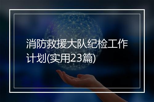 消防救援大队纪检工作计划(实用23篇)