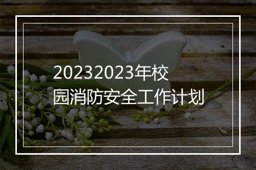20232023年校园消防安全工作计划
