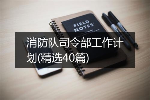 消防队司令部工作计划(精选40篇)