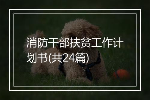 消防干部扶贫工作计划书(共24篇)