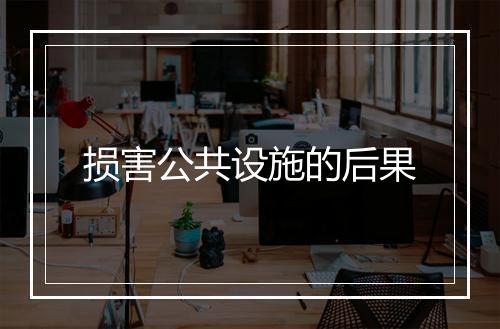 损害公共设施的后果