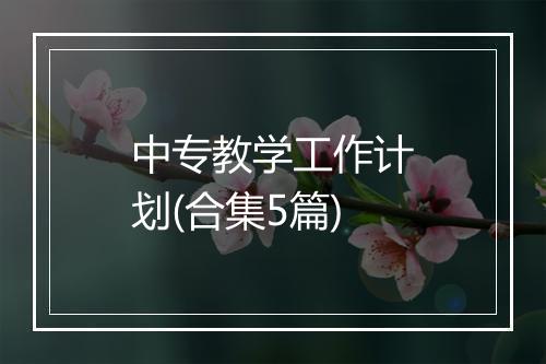 中专教学工作计划(合集5篇)