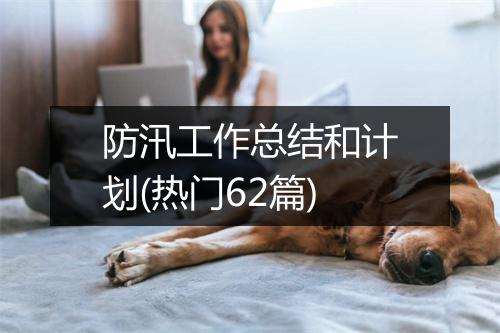 防汛工作总结和计划(热门62篇)