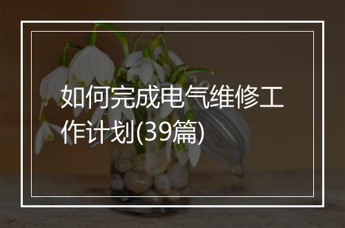 如何完成电气维修工作计划(39篇)